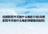 白鹿影院今天放什么電影介紹(白鹿影院今天放什么電影詳細(xì)情況如何)