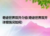 奇跡世界雙開(kāi)介紹(奇跡世界雙開(kāi)詳細(xì)情況如何)