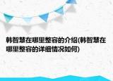 韓智慧在哪里整容的介紹(韓智慧在哪里整容的詳細(xì)情況如何)