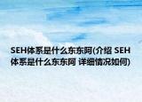 SEH體系是什么東東阿(介紹 SEH體系是什么東東阿 詳細(xì)情況如何)
