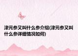 津元參又叫什么參介紹(津元參又叫什么參詳細(xì)情況如何)