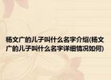 楊文廣的兒子叫什么名字介紹(楊文廣的兒子叫什么名字詳細(xì)情況如何)