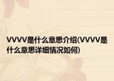 VVVV是什么意思介紹(VVVV是什么意思詳細(xì)情況如何)