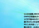 (11分)如圖,ABCD﹣A1B1C1D1是正方體,OMN分別是B1D1AB1AD1的中點(diǎn),直線A1C交平面AB1D1于點(diǎn)P.(Ⅰ)證明:MN∥平面CB1D1;(Ⅱ)證明:①APOC四點(diǎn)共面;②APO三點(diǎn)共線.