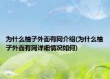 為什么柚子外面有網(wǎng)介紹(為什么柚子外面有網(wǎng)詳細情況如何)