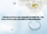 一只雞只有2個爪子為什么市場上的雞爪感覺又多又便宜介紹(一只雞只有2個爪子為什么市場上的雞爪感覺又多又便宜詳細(xì)情況如何)