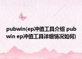 pubwin(ep沖值工具介紹 pubwin ep沖值工具詳細(xì)情況如何)