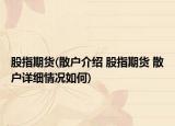 股指期貨(散戶介紹 股指期貨 散戶詳細(xì)情況如何)