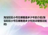淘寶旺旺小號在哪看是多少年的介紹(淘寶旺旺小號在哪看是多少年的詳細情況如何)