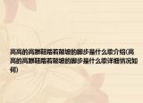 高高的高跟鞋踏著顛坡的腳步是什么歌介紹(高高的高跟鞋踏著顛坡的腳步是什么歌詳細(xì)情況如何)