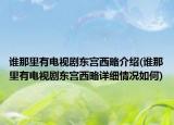 誰那里有電視劇東宮西略介紹(誰那里有電視劇東宮西略詳細情況如何)