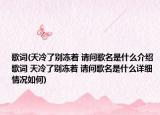歌詞(天冷了別凍著 請問歌名是什么介紹 歌詞 天冷了別凍著 請問歌名是什么詳細(xì)情況如何)