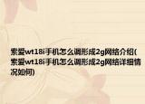 索愛(ài)wt18i手機(jī)怎么調(diào)形成2g網(wǎng)絡(luò)介紹(索愛(ài)wt18i手機(jī)怎么調(diào)形成2g網(wǎng)絡(luò)詳細(xì)情況如何)