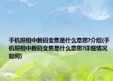 手機(jī)照相中數(shù)碼變焦是什么意思?介紹(手機(jī)照相中數(shù)碼變焦是什么意思?詳細(xì)情況如何)