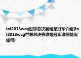 lol2013wcg世界總決賽誰是冠軍介紹(lol2013wcg世界總決賽誰是冠軍詳細情況如何)
