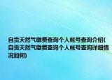自貢天然氣繳費(fèi)查詢個人帳號查詢介紹(自貢天然氣繳費(fèi)查詢個人帳號查詢詳細(xì)情況如何)