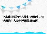 小宋佳詳細(xì)的個人資料介紹(小宋佳詳細(xì)的個人資料詳細(xì)情況如何)