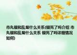市丸銀和亂菊什么關系(銀死了嗎介紹 市丸銀和亂菊什么關系 銀死了嗎詳細情況如何)