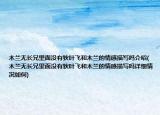 木蘭無長兄里面沒有狄葉飛和木蘭的情感描寫嗎介紹(木蘭無長兄里面沒有狄葉飛和木蘭的情感描寫嗎詳細情況如何)