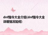 dnf指令大全介紹(dnf指令大全詳細情況如何)