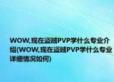 WOW,現(xiàn)在盜賊PVP學什么專業(yè)介紹(WOW,現(xiàn)在盜賊PVP學什么專業(yè)詳細情況如何)