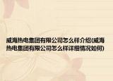威海熱電集團(tuán)有限公司怎么樣介紹(威海熱電集團(tuán)有限公司怎么樣詳細(xì)情況如何)
