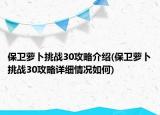 保衛(wèi)蘿卜挑戰(zhàn)30攻略介紹(保衛(wèi)蘿卜挑戰(zhàn)30攻略詳細情況如何)