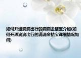 如何開通滴滴出行的滴滴金桔寶介紹(如何開通滴滴出行的滴滴金桔寶詳細情況如何)