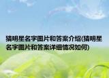 猜明星名字圖片和答案介紹(猜明星名字圖片和答案詳細(xì)情況如何)