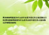 黑龍教秘密殿堂為什么進不去是不是紅色主線沒跑完介紹(黑龍教秘密殿堂為什么進不去是不是紅色主線沒跑完詳細情況如何)