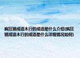 瘋狂猜成語木行的成語是什么介紹(瘋狂猜成語木行的成語是什么詳細(xì)情況如何)