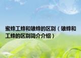 蜜蜂工蜂和雄蜂的區(qū)別（雄蜂和工蜂的區(qū)別簡介介紹）