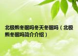 北極熊冬眠嗎冬天冬眠嗎（北極熊冬眠嗎簡介介紹）