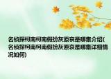 名偵探柯南柯南假扮灰原哀是哪集介紹(名偵探柯南柯南假扮灰原哀是哪集詳細(xì)情況如何)