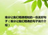 緣分讓我們相遇相知的一些美好句子（緣分讓我們相遇的句子簡介介紹）