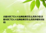 衣服沾到了紅心火龍果的果漬怎么清洗介紹(衣服沾到了紅心火龍果的果漬怎么清洗詳細(xì)情況如何)
