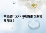 草寇是什么?（草寇是什么啊簡(jiǎn)介介紹）