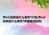 齊b小短裙是什么意思?介紹(齊b小短裙是什么意思?詳細情況如何)