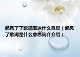 起風(fēng)了了歌詞表達(dá)什么意思（起風(fēng)了歌詞是什么意思簡(jiǎn)介介紹）