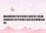 數(shù)碼相機(jī)照片和手機(jī)照片的區(qū)別介紹(數(shù)碼相機(jī)照片和手機(jī)照片的區(qū)別詳細(xì)情況如何)