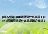 planA和planB網(wǎng)絡(luò)語什么意思（planb網(wǎng)絡(luò)用語是什么意思簡(jiǎn)介介紹）
