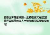 魔獸世界部落熊貓人坐騎在哪買介紹(魔獸世界部落熊貓人坐騎在哪買詳細情況如何)