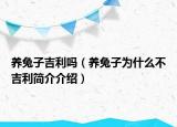 養(yǎng)兔子吉利嗎（養(yǎng)兔子為什么不吉利簡(jiǎn)介介紹）
