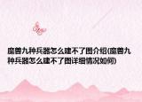 魔獸九種兵器怎么建不了圖介紹(魔獸九種兵器怎么建不了圖詳細情況如何)