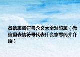 微信表情符號(hào)含義大全對(duì)照表（微信里表情符號(hào)代表什么意思簡(jiǎn)介介紹）