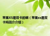 蘋果XS是雙卡的嘛（蘋果xs是雙卡嗎簡(jiǎn)介介紹）