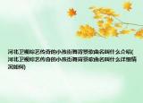 河北衛(wèi)視綜藝傳奇的小孩街舞背景歌曲名叫什么介紹(河北衛(wèi)視綜藝傳奇的小孩街舞背景歌曲名叫什么詳細情況如何)