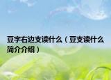 豆字右邊支讀什么（豆支讀什么簡介介紹）
