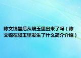 陳文錦最后從隕玉里出來(lái)了嗎（陳文錦在隕玉里發(fā)生了什么簡(jiǎn)介介紹）