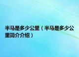 半馬是多少公里（半馬是多少公里簡(jiǎn)介介紹）